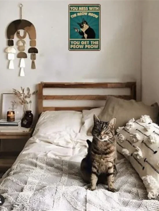 Cat Lovers Gifts You Mess With Meow Mow Cat Tin Sign for Home Man - Picture 5 of 6